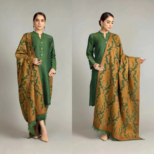 Bareeze Embroidered 3 Piece Winter Collection BR-5025